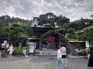 長谷寺 阿弥陀堂の参拝記録(ああああさん)