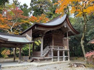 日向神社(多賀大社境内)の参拝記録(忍さん)