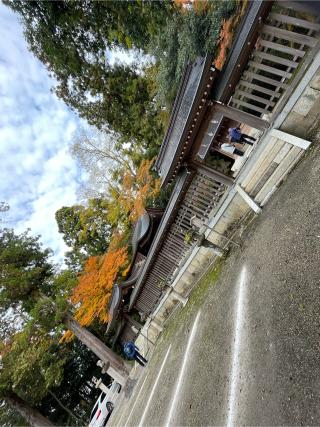 日向神社(多賀大社境内)の参拝記録(タケちゃんさん)