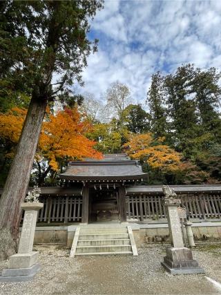 日向神社（多賀大社）の参拝記録(タケちゃんさん)