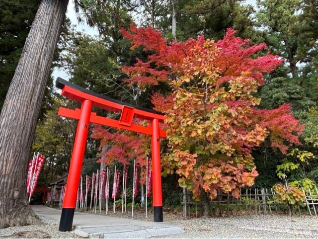 金咲稲荷神社(多賀大社境内)の参拝記録10