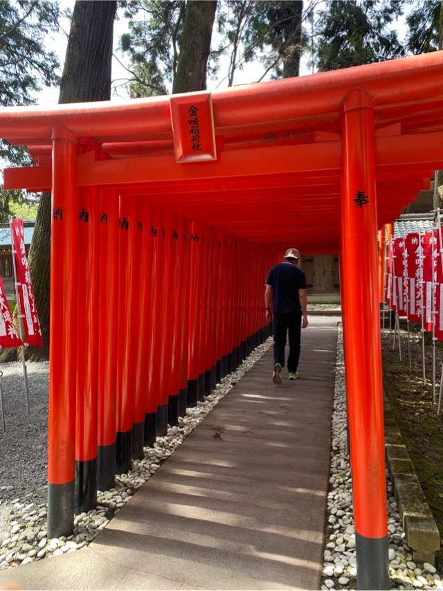 金咲稲荷神社(多賀大社境内)の参拝記録6