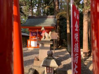 金咲稲荷神社(多賀大社境内)の参拝記録(パールホワイトさん)