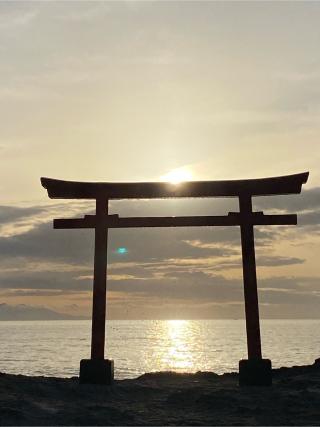 砂村稲荷神社(白浜神社境内社)の参拝記録(さるがぉさん)