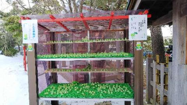 新潟県新潟市中央区三和町1番1号 三社神社の写真4