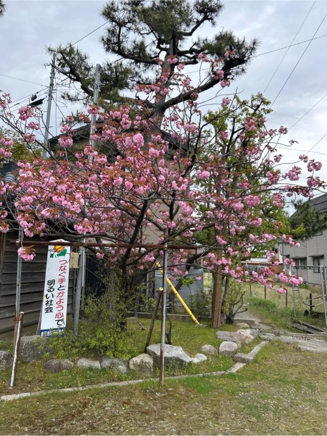 新潟県新潟市中央区三和町1番1号 三社神社の写真11
