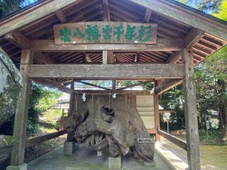 雲八幡宮の参拝記録(ユウさん)