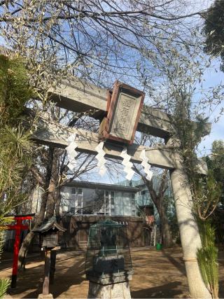 羽根木神社の参拝記録(⛩️🐍🐢まめ🐢🐍⛩️さん)