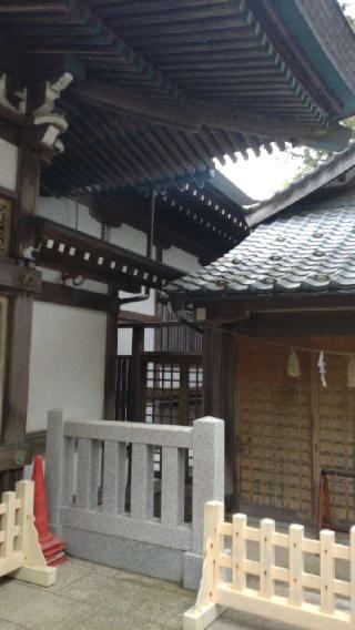 坂井神社の参拝記録(ステイさん)