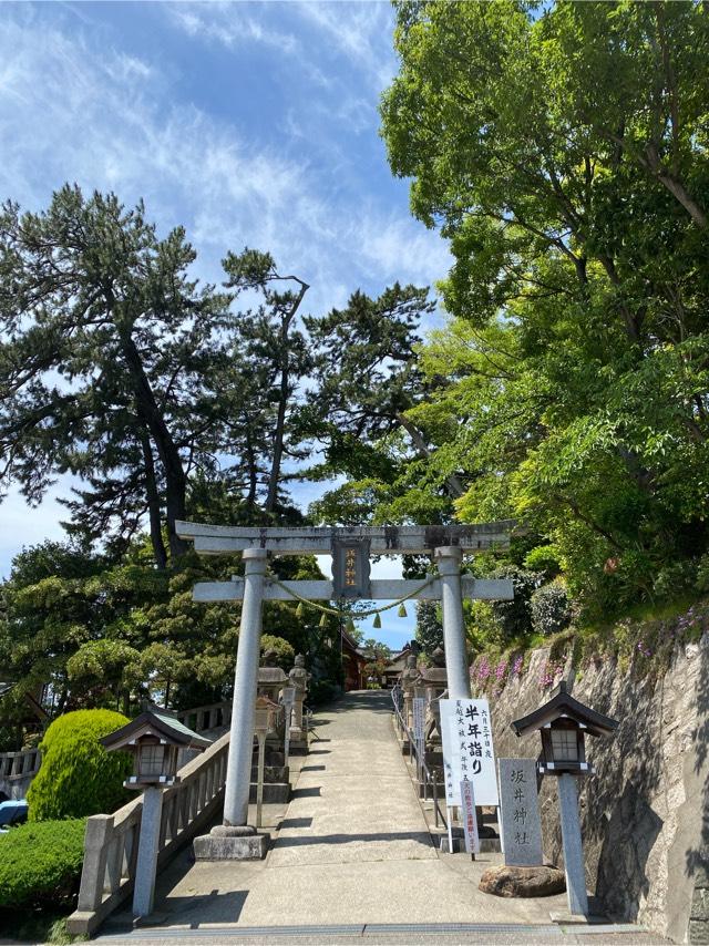 坂井神社の参拝記録(8686さん)