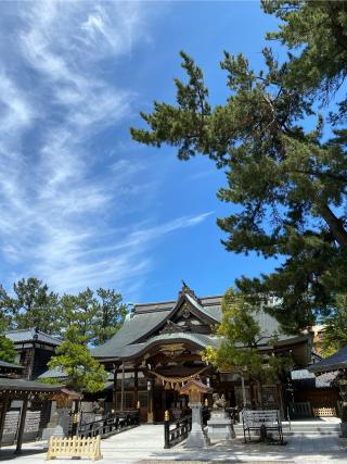 坂井神社の参拝記録(8686さん)