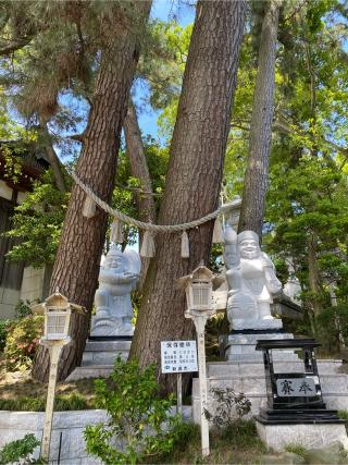 坂井神社の参拝記録(8686さん)