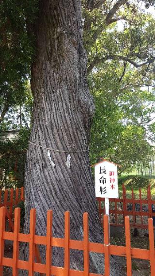 赤池神社の参拝記録(choccoさん)