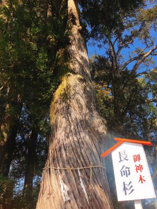 赤池神社の参拝記録( 14th moonさん)