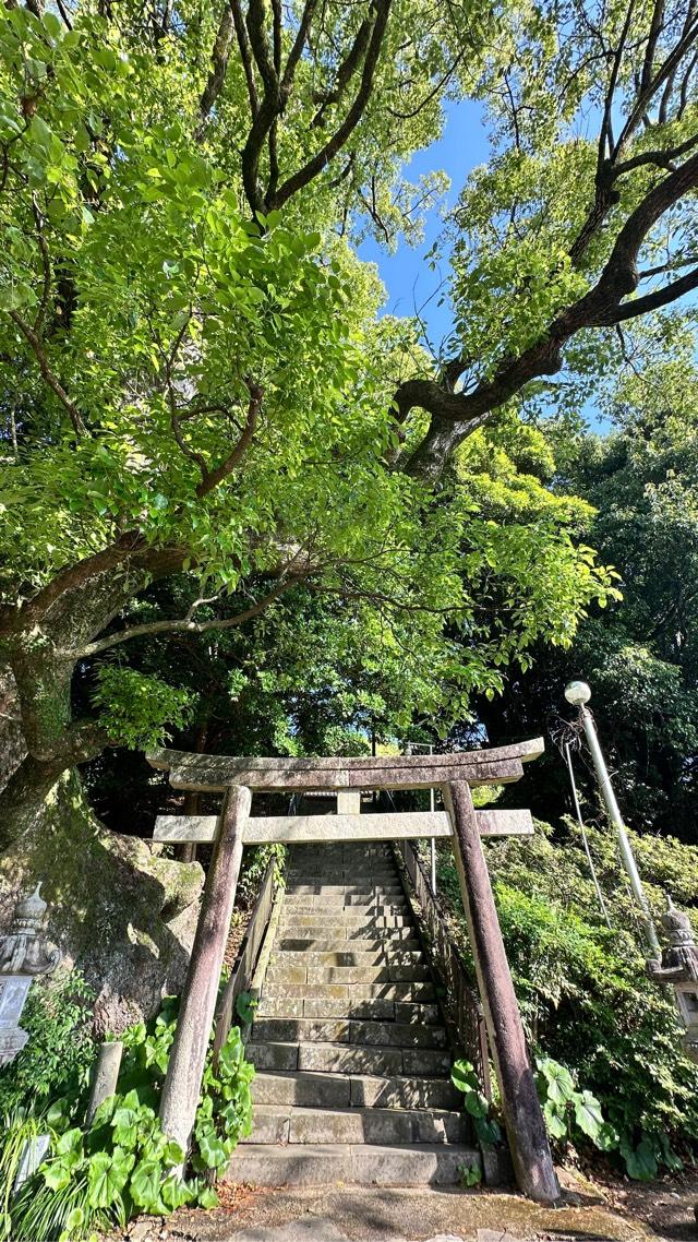 宮崎県西都市大字鹿野田2020 鹿野田神社の写真3