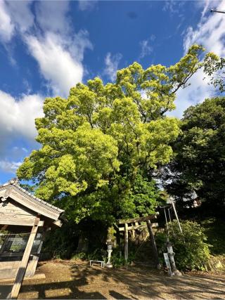 鹿野田神社の参拝記録(りょう【農家神主】さん)
