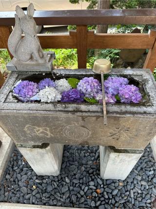 天明稲荷神社の参拝記録(神追人さん)