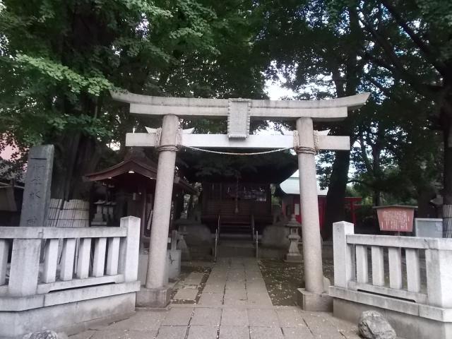 東京都板橋区蓮沼町48-4 蓮沼氷川神社の写真2