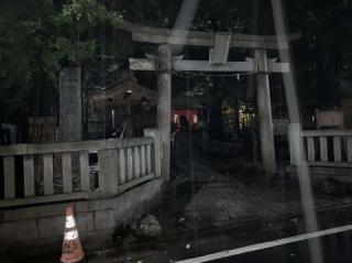 蓮沼氷川神社の参拝記録(金髪しんちゃんさん)