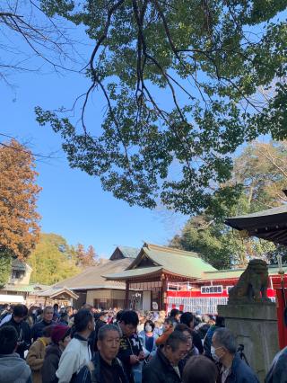 星の宮神社・香丸稲荷神社の参拝記録(智恵子さん)