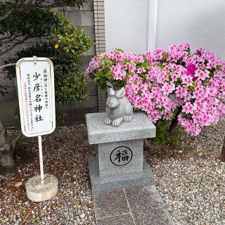 少彦名神社の参拝記録(ワヲンさん)