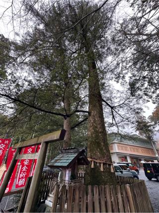 庚龍神社（椿大神社境内社）の参拝記録(あきちゃんさん)