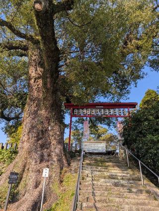 松橋神社の参拝記録(ひのえ♪さん)