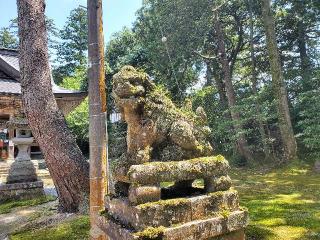 井波八幡宮の参拝記録(飛成さん)