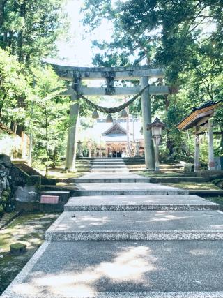 井波八幡宮の参拝記録(あづさん)