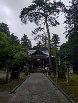 井波八幡宮の参拝記録(ヨッシーさん)