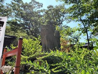 伊勢玉神社の参拝記録(飛成さん)