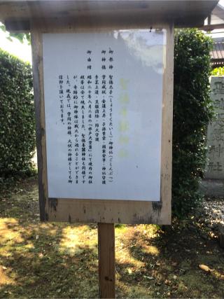 聖徳養蠶神社(別雷皇太神境内)の参拝記録(hikazuさん)