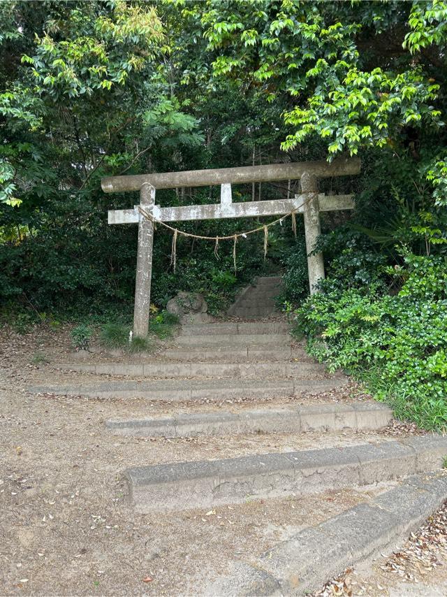 千葉県山武郡横芝光町横芝 浅間神社の写真1