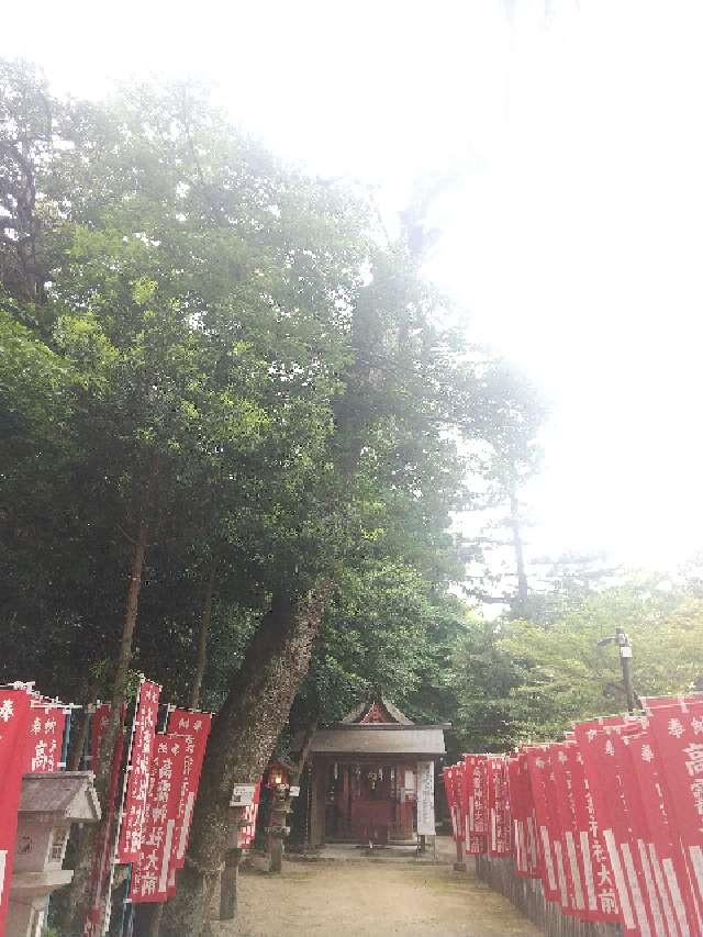 高龗神社（大和神社摂社）の参拝記録10