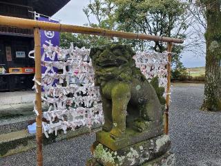 七夕神社（媛社神社）の参拝記録(飛成さん)