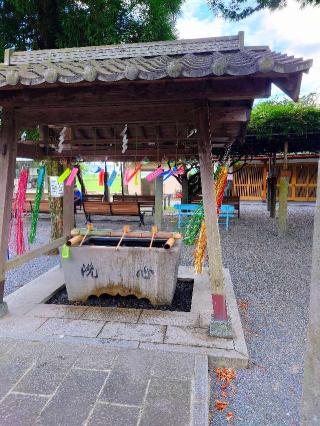 七夕神社（媛社神社）の参拝記録(たこさん)