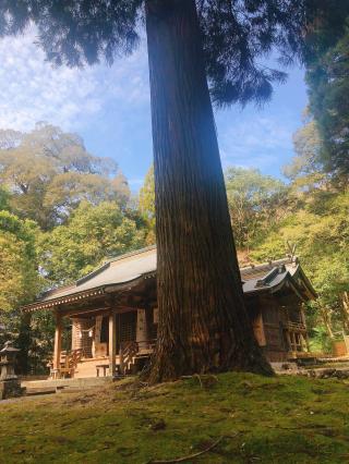 村所八幡神社の参拝記録( 14th moonさん)