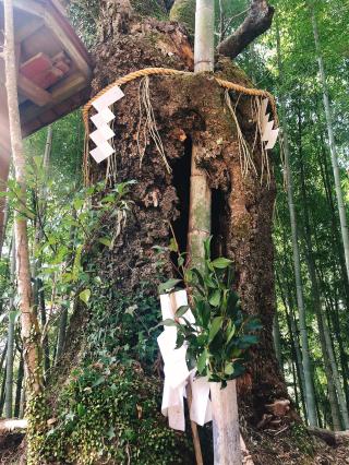 兒原稲荷神社の参拝記録( 14th moonさん)