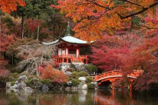 醍醐寺　金堂の参拝記録(堀田秀吉さん)