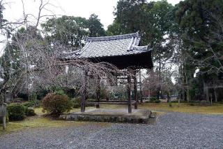 醍醐寺　金堂の参拝記録(Ｔさん🍁さん)