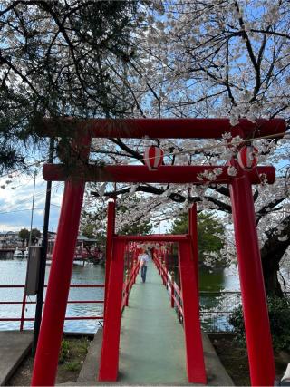 白龍神社の参拝記録(こうさん)