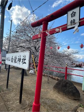 白龍神社の参拝記録(こうさん)