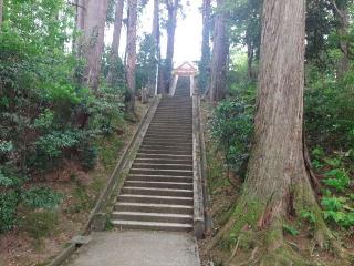 春日神社の参拝記録(しんのすけさん)