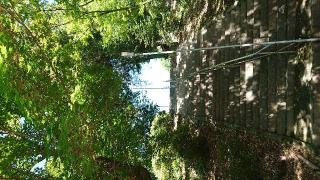 白石神社の参拝記録(よーこさん)