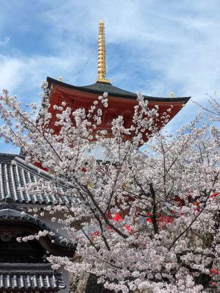 中山寺 奥之院の参拝記録(ひこにゃんさん)