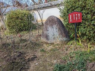 當麻寺中之坊の参拝記録(たこやきさん)