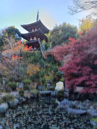 當麻寺中之坊の参拝記録(にるぼんさん)