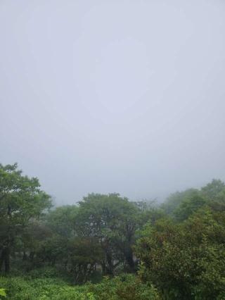 剣山本宮宝蔵石神社の参拝記録(みっちゃんさん)