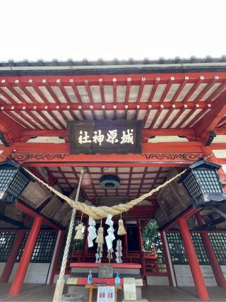 城原八幡神社の参拝記録(こうじさん)