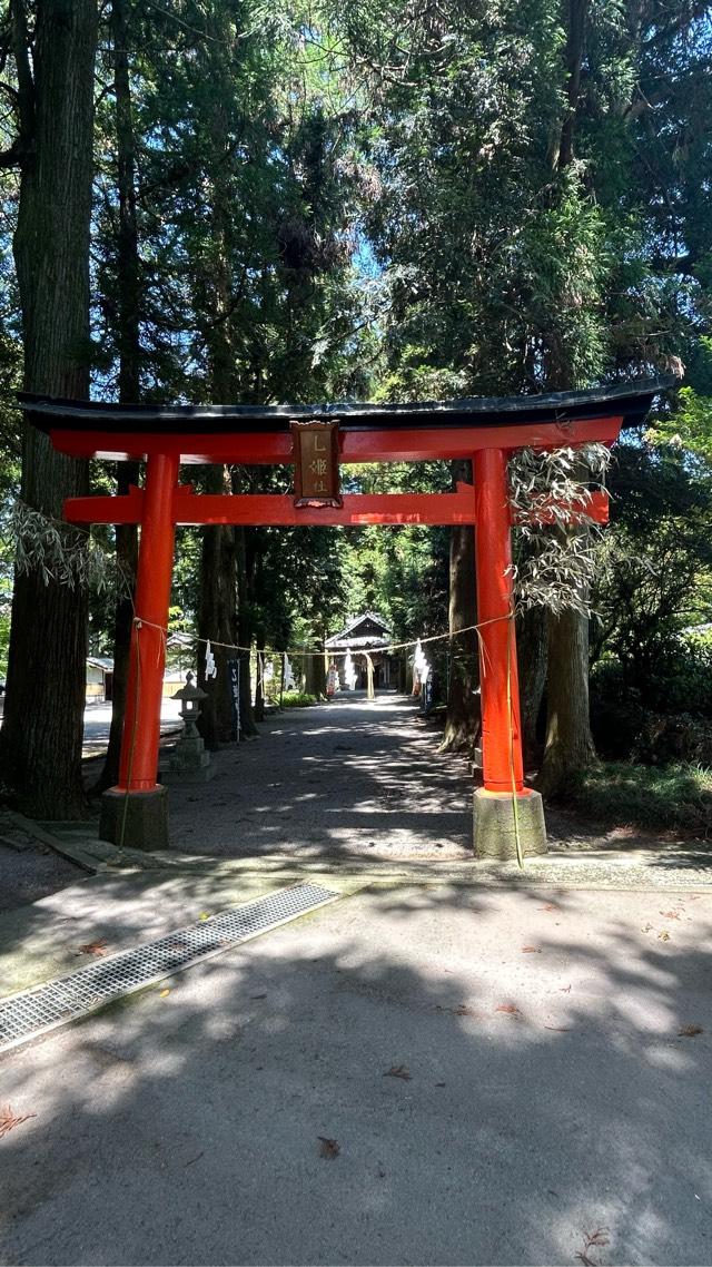 乙姫神社の参拝記録8